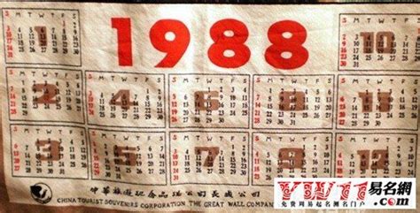 1988年辰年|1988年是什么年